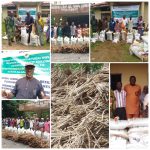 Surulere, Irepo LGAs Chairmen Laud Makinde, As Excited Farmers In Ibarapa, Saki-West, Atisbo, Oriire, Others Receive OYO-Cares Agric Inputs